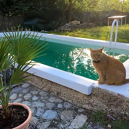 Mas De La Pauze Panzió 3*